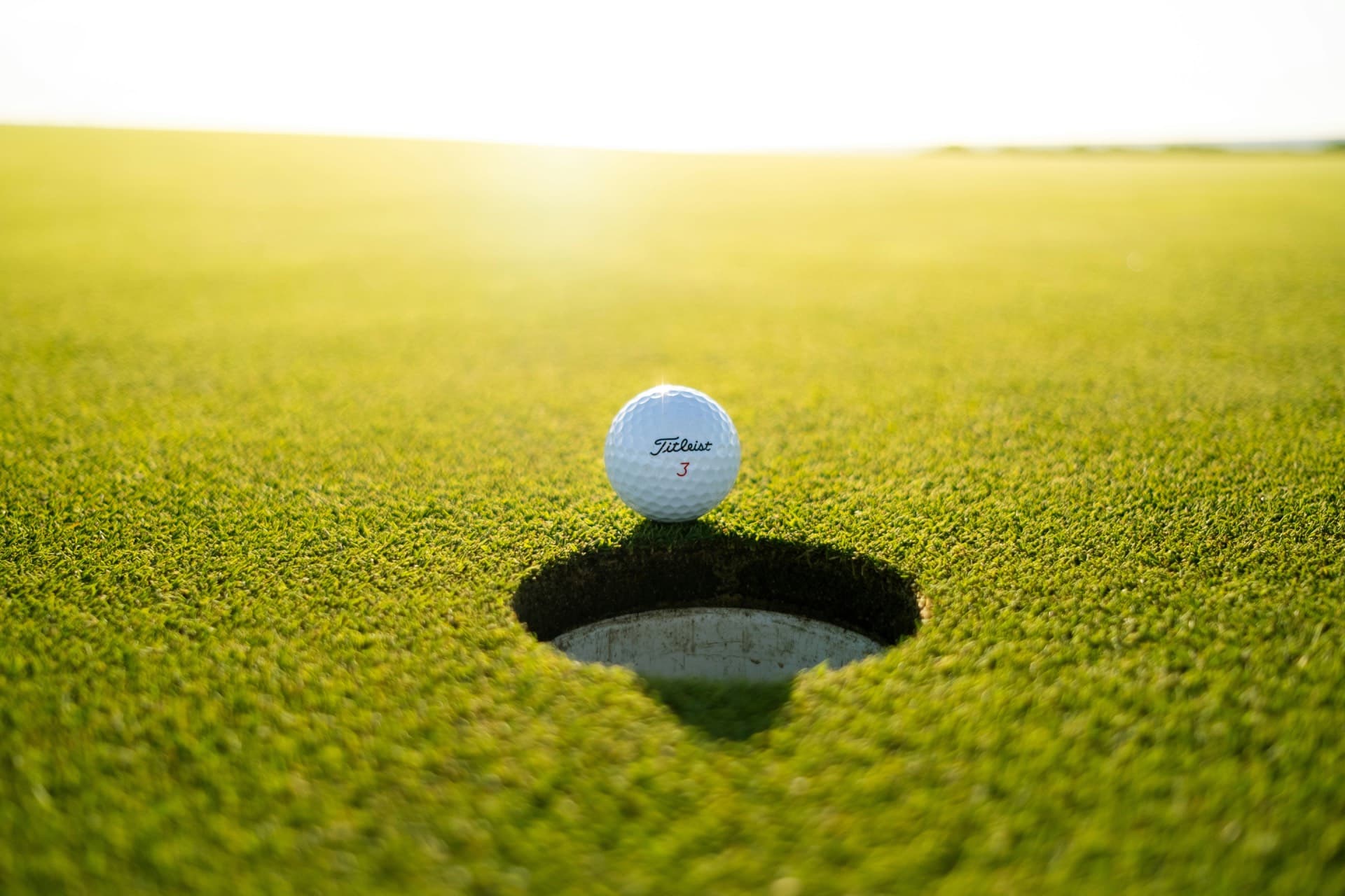 The Open 2026 - Thank You!