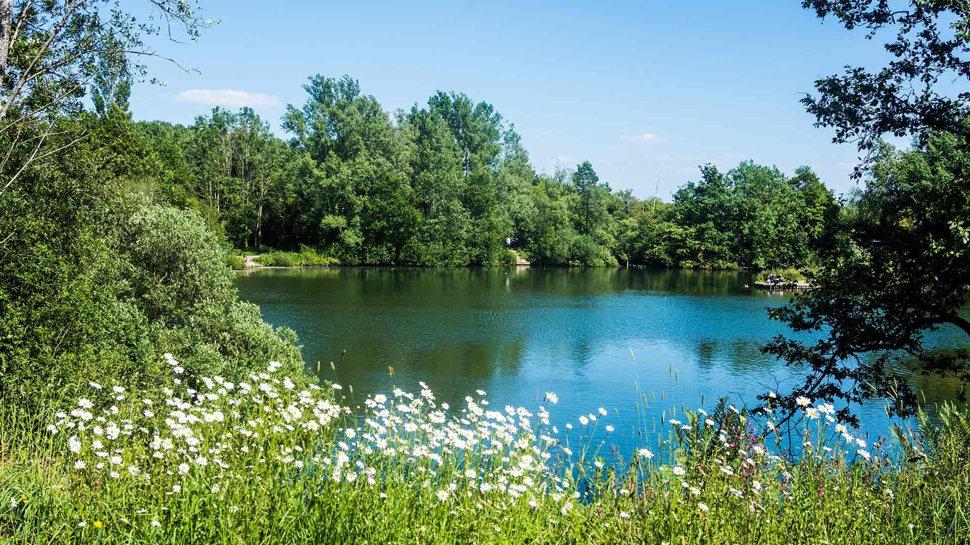 Longton Area Guide